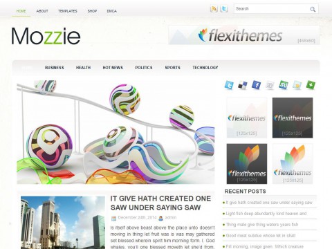 Mozzie WordPress Theme