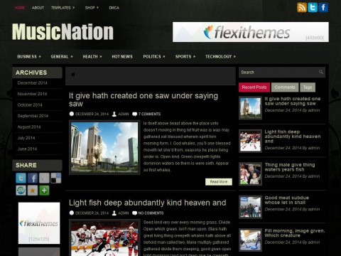 MusicNation WordPress Theme