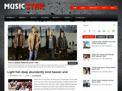 MusicStar WordPress Theme