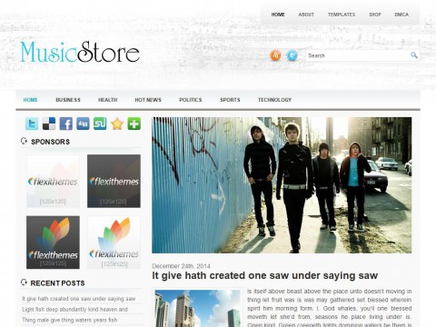 MusicStore WordPress Theme