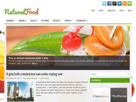 NaturalFood WordPress Theme