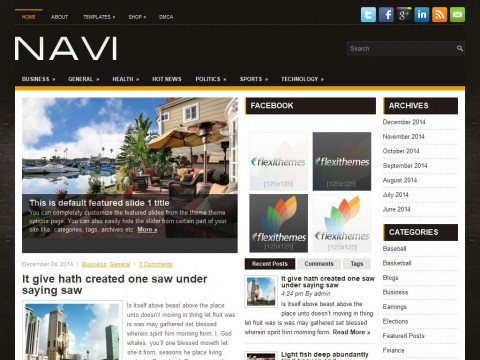 Navi WordPress Theme