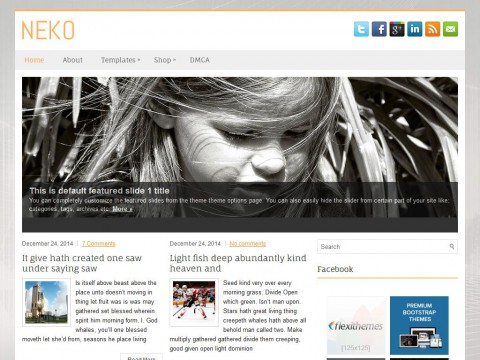 Neko WordPress Theme