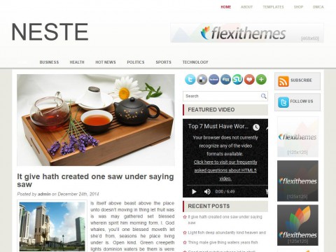 Neste WordPress Theme