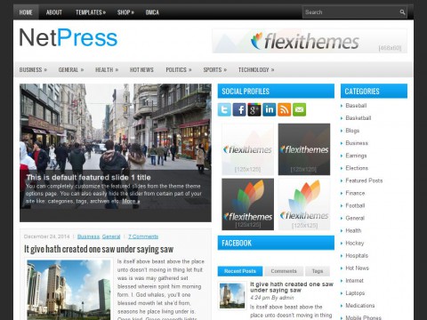 NetPress WordPress Theme