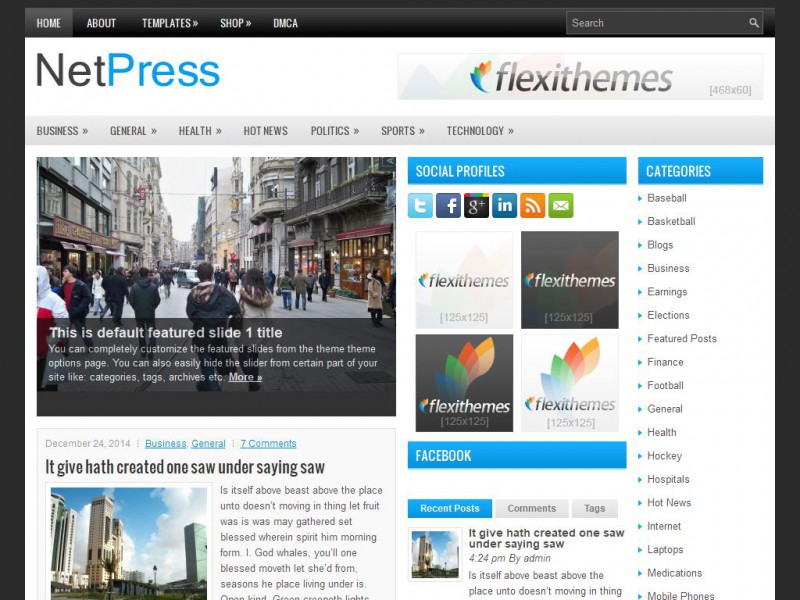 NetPress | FlexiThemes