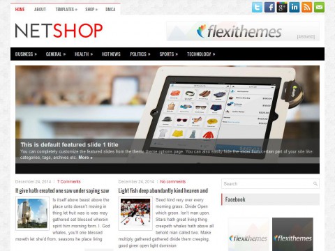 NetShop WordPress Theme