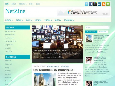 NetZine WordPress Theme