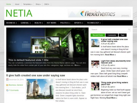 Netia WordPress Theme