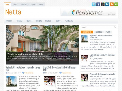 Netta WordPress Theme