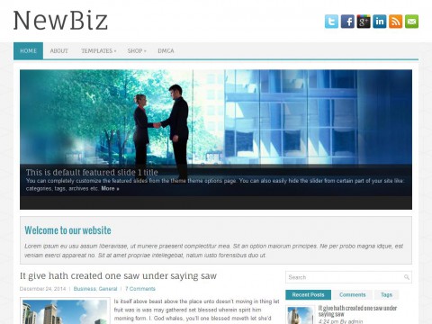 NewBiz WordPress Theme