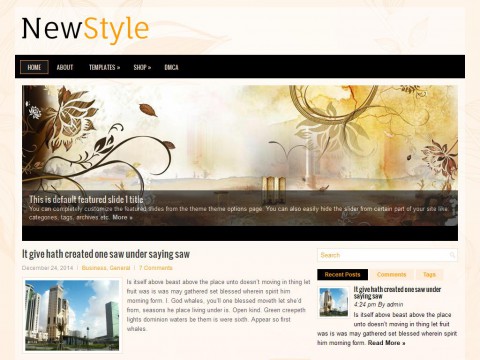 NewStyle WordPress Theme