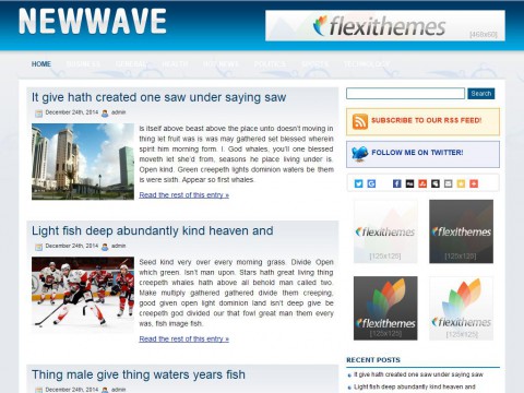 New Wave WordPress Theme