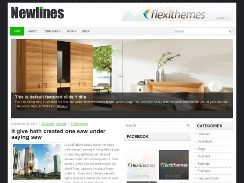 Newlines WordPress Theme