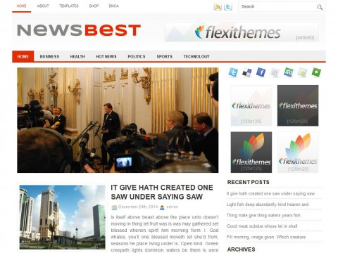 NewsBest WordPress Theme