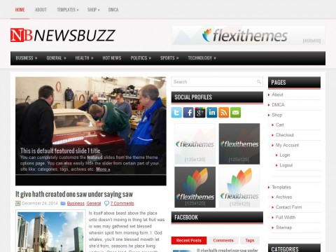 NewsBuzz WordPress Theme