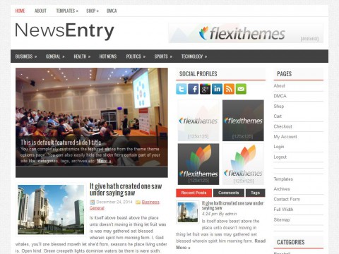 NewsEntry WordPress Theme