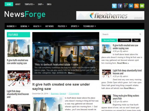 NewsForge WordPress Theme