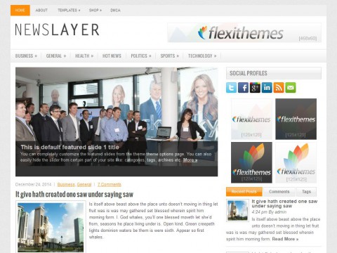 NewsLayer WordPress Theme