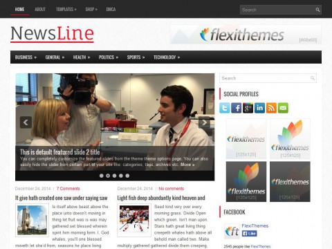 NewsLine WordPress Theme