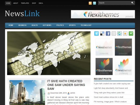 NewsLink WordPress Theme