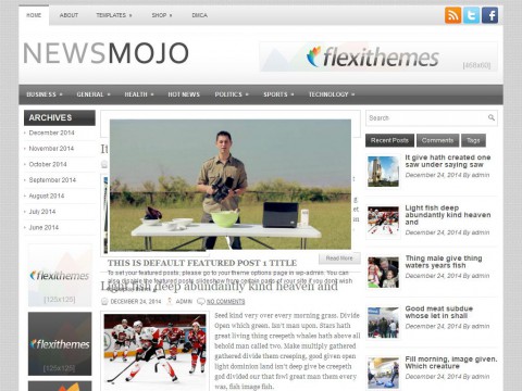 NewsMojo WordPress Theme