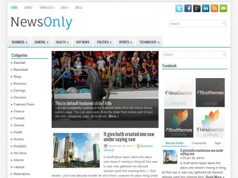 NewsOnly WordPress Theme