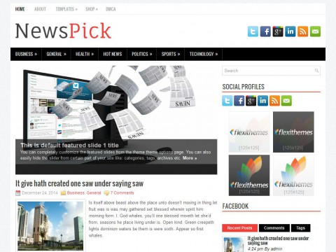 NewsPick WordPress Theme