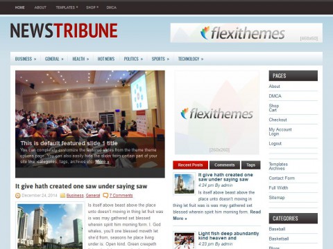 NewsTribune WordPress Theme