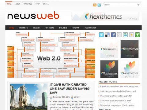 NewsWeb WordPress Theme