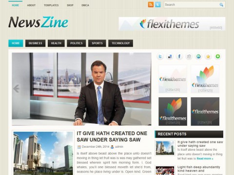 NewsZine WordPress Theme