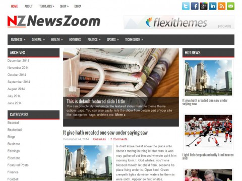 NewsZoom WordPress Theme