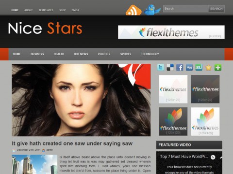 Nice Stars WordPress Theme