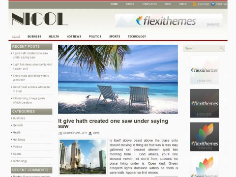 Nicol WordPress Theme