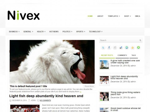 Nivex WordPress Theme