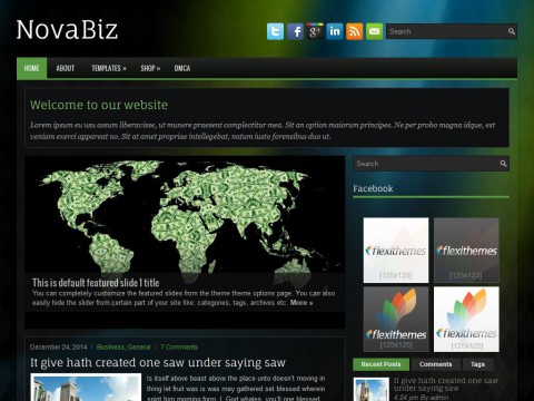 NovaBiz WordPress Theme