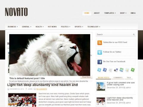 Novato WordPress Theme