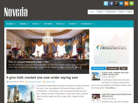 Noveria WordPress Theme