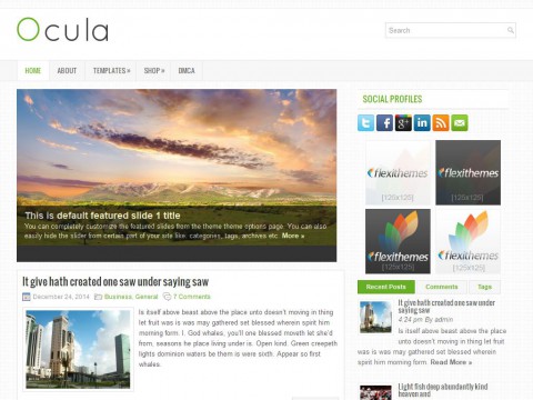 Ocula WordPress Theme