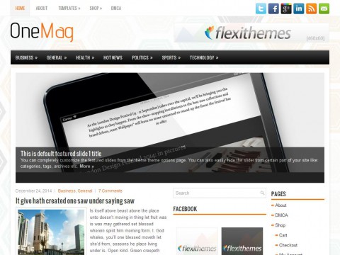 OneMag WordPress Theme