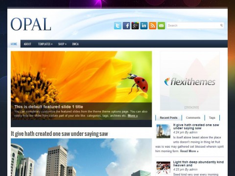 Opal WordPress Theme