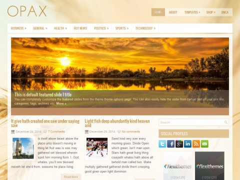 Opax WordPress Theme