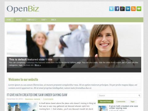 OpenBiz WordPress Theme