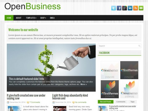 OpenBusiness WordPress Theme