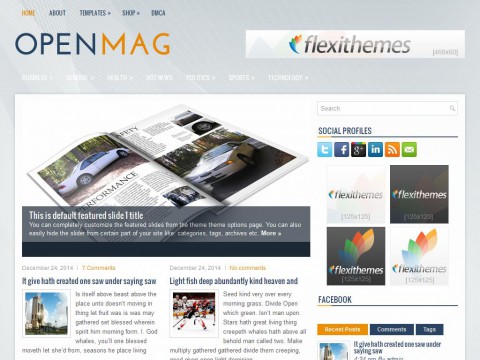 OpenMag WordPress Theme