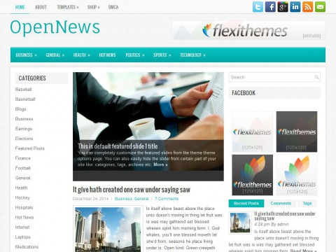 OpenNews WordPress Theme