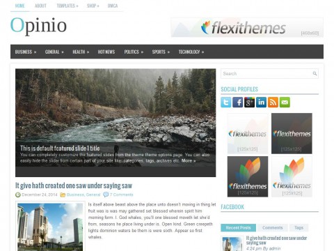 Opinio WordPress Theme