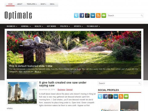 Optimale WordPress Theme