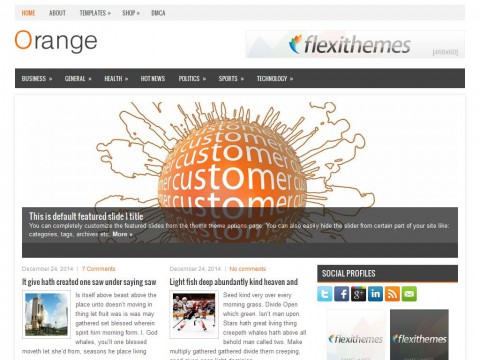 Orange WordPress Theme