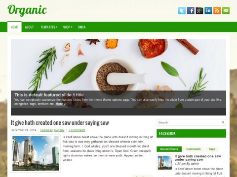 Organic WordPress Theme